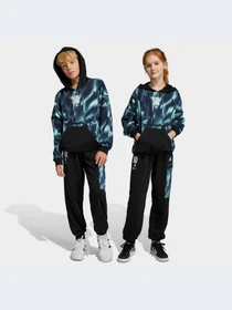 Брюки Adidas модель HR6414-KZ Фото