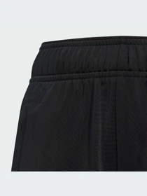 Брюки Adidas модель IC5436-KZ Фото