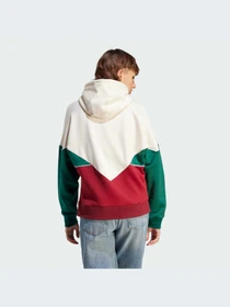 Худи и свитшоты Adidas Adicolor модель IM1918-KZ Фото