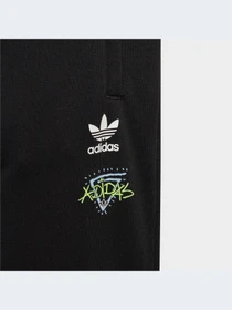 Брюки Adidas Graphics модель IJ0760-KZ Фото