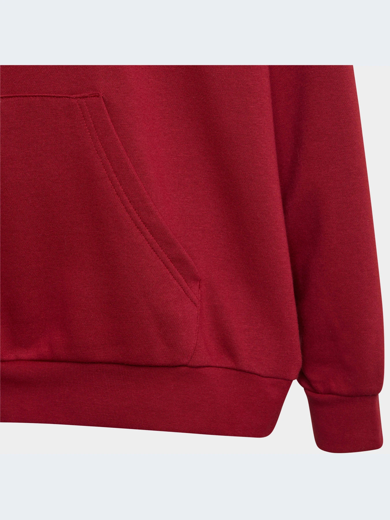 Худи и свитшоты Adidas Graphics модель IJ0751-KZ Худи и свитшоты Adidas Graphics модель IJ0751-KZ Фото