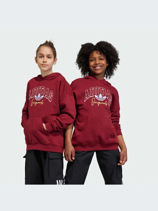 Худи и свитшоты Adidas Graphics модель IJ0751-KZ Фото