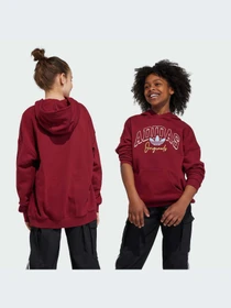 Худи и свитшоты Adidas Graphics модель IJ0751-KZ Фото