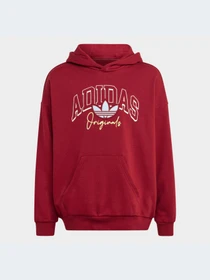 Худи и свитшоты Adidas Graphics модель IJ0751-KZ Фото