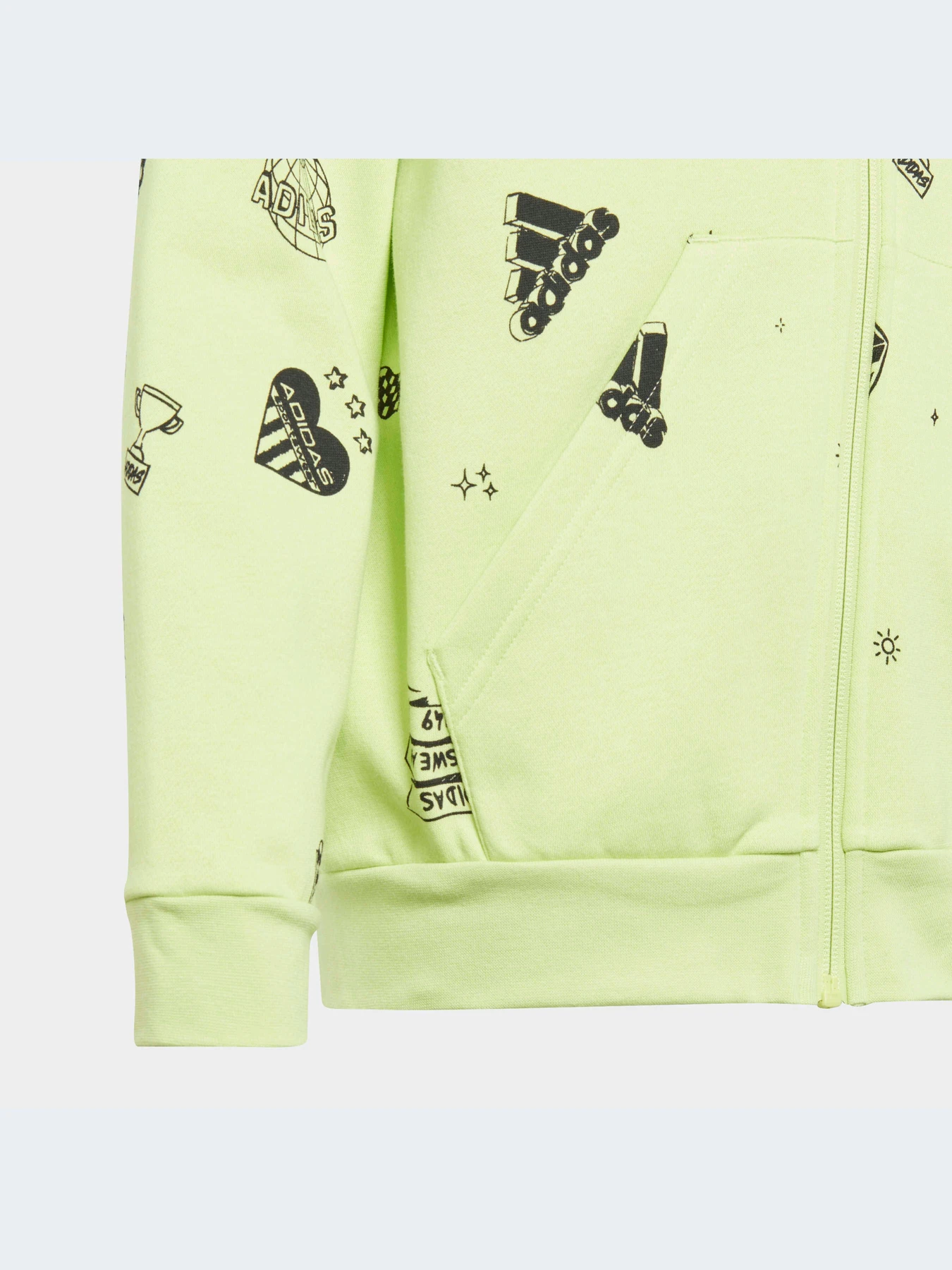 Худи и свитшоты Adidas Graphics модель IA1556-KZ Худи и свитшоты Adidas Graphics модель IA1556-KZ Фото
