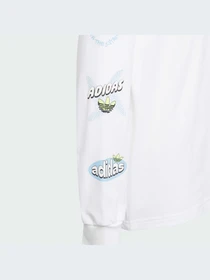 Худи и свитшоты Adidas Graphics модель IM1858-KZ Фото