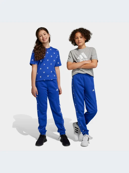 Брюки Adidas модель IB8728-KZ Фото