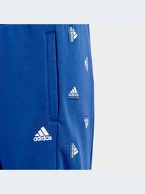 Брюки Adidas модель IB8728-KZ Фото