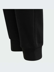 Брюки Adidas модель HZ4973-KZ Фото