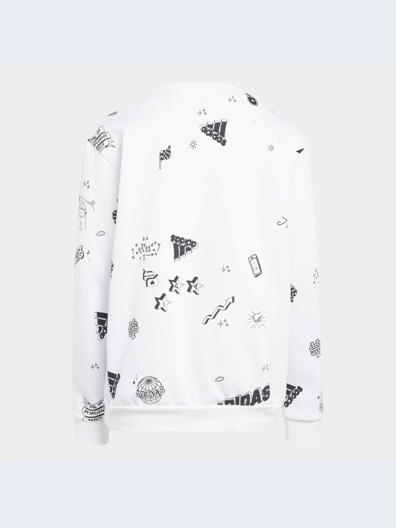 Худи и свитшоты Adidas Graphics модель IA1575-KZ Худи и свитшоты Adidas Graphics модель IA1575-KZ Фото