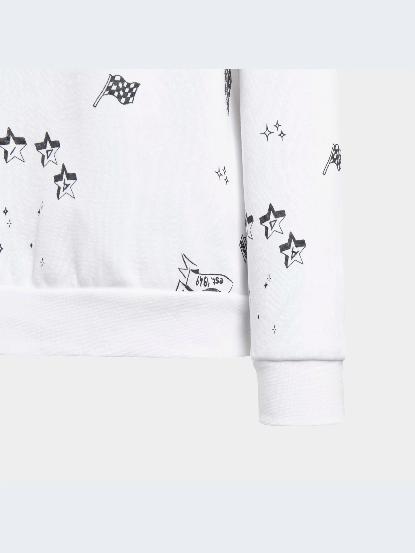 Худи и свитшоты Adidas Graphics модель IA1575-KZ Худи и свитшоты Adidas Graphics модель IA1575-KZ Фото