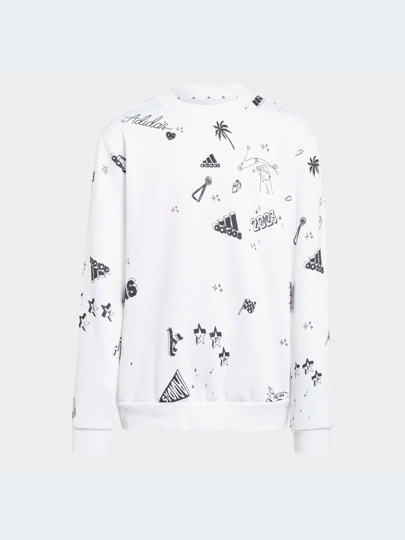 Худи и свитшоты Adidas Graphics модель IA1575-KZ Худи и свитшоты Adidas Graphics модель IA1575-KZ Фото