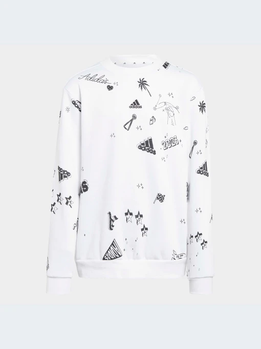 Худи и свитшоты Adidas Graphics модель IA1575-KZ Фото
