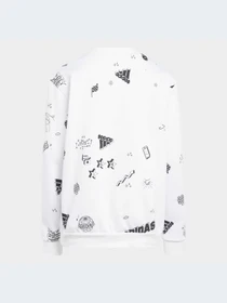 Худи и свитшоты Adidas Graphics модель IA1575-KZ Фото