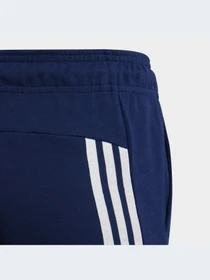 Брюки Adidas модель HZ4117-KZ Фото