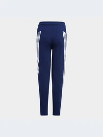 Брюки Adidas модель HZ4117-KZ Фото