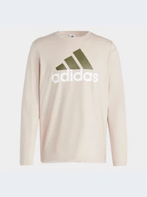 Худи и свитшоты Adidas модель IC9371-KZ Фото