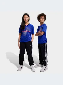 Брюки Adidas модель HR6334-KZ Фото
