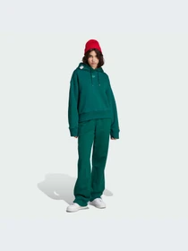 Худи и свитшоты Adidas Graphics модель IK6567-KZ Фото
