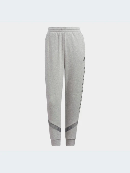 Брюки Adidas модель HC2534-KZ Фото