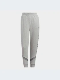 Брюки Adidas модель HC2534-KZ Фото