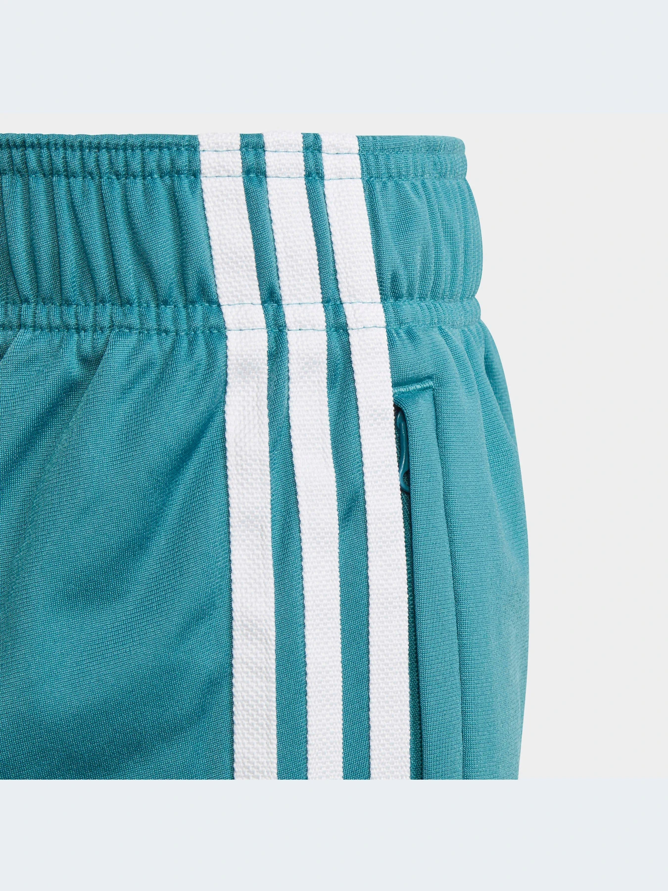 Брюки Adidas Adicolor модель IJ9710-KZ Брюки Adidas Adicolor модель IJ9710-KZ Фото