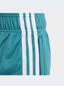 Брюки Adidas Adicolor модель IJ9710-KZ Фото
