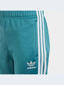 Брюки Adidas Adicolor модель IJ9710-KZ Фото