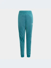 Брюки Adidas Adicolor модель IJ9710-KZ Фото