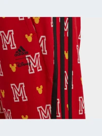 Брюки Adidas модель HR9500-KZ Фото
