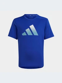 Футболки и поло Adidas модель IC5409-KZ Фото