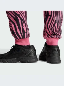 Брюки Adidas Graphics модель IJ7776-KZ Фото
