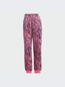 Брюки Adidas Graphics модель IJ7776-KZ Фото