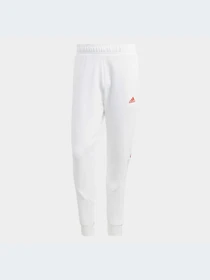 Брюки Adidas модель IC6797-KZ Фото