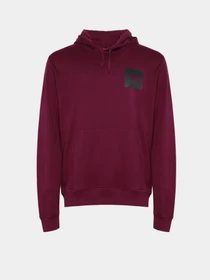 Худи и свитшоты The North Face модель NF0A5ICXI0H1 Фото