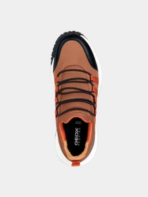 Кроссовки Geox модель D36VNA-01585-CS69B Фото