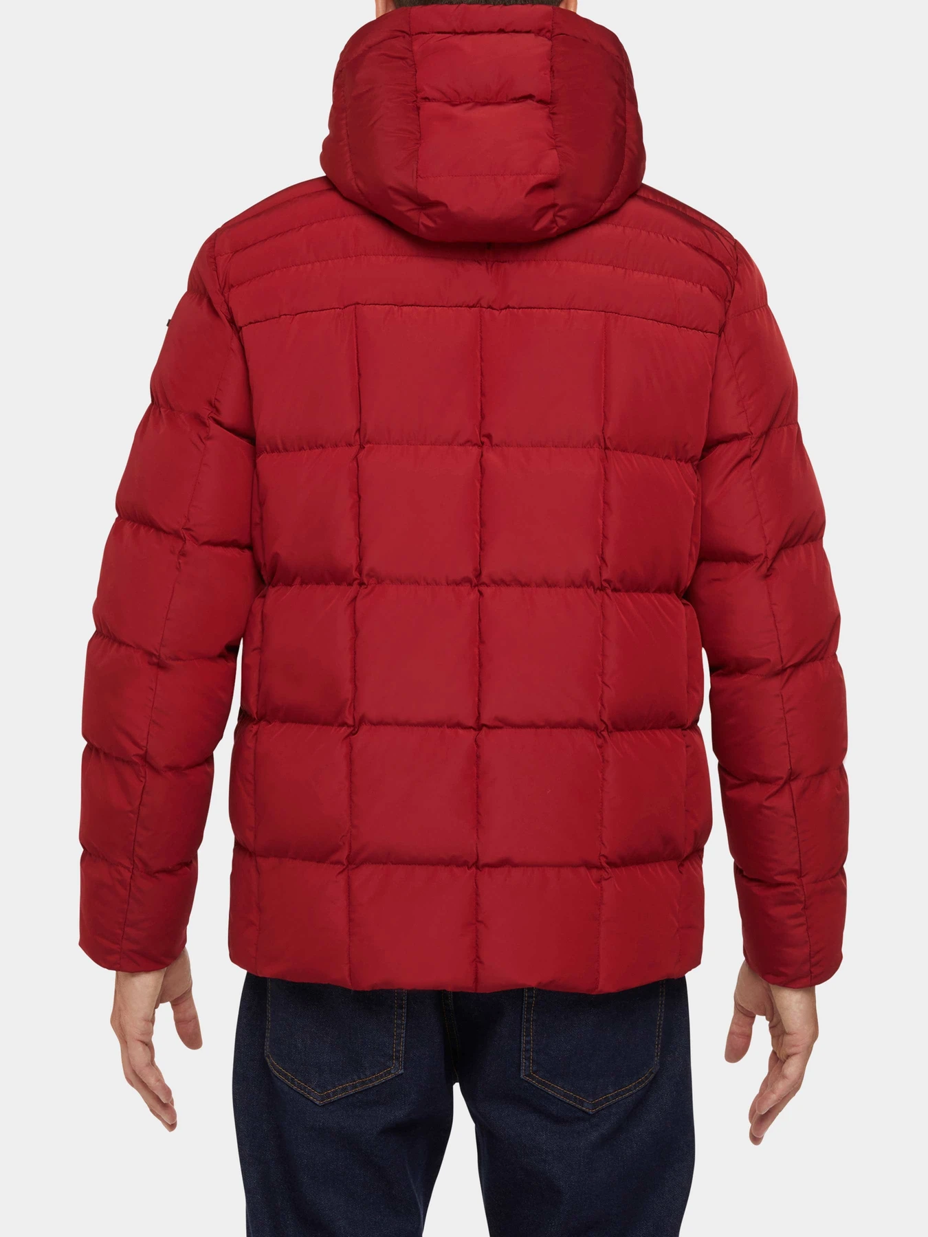 Куртки и дубленки Geox модель M3628C-T2941-F7207 Куртки и дубленки Geox модель M3628C-T2941-F7207 Фото