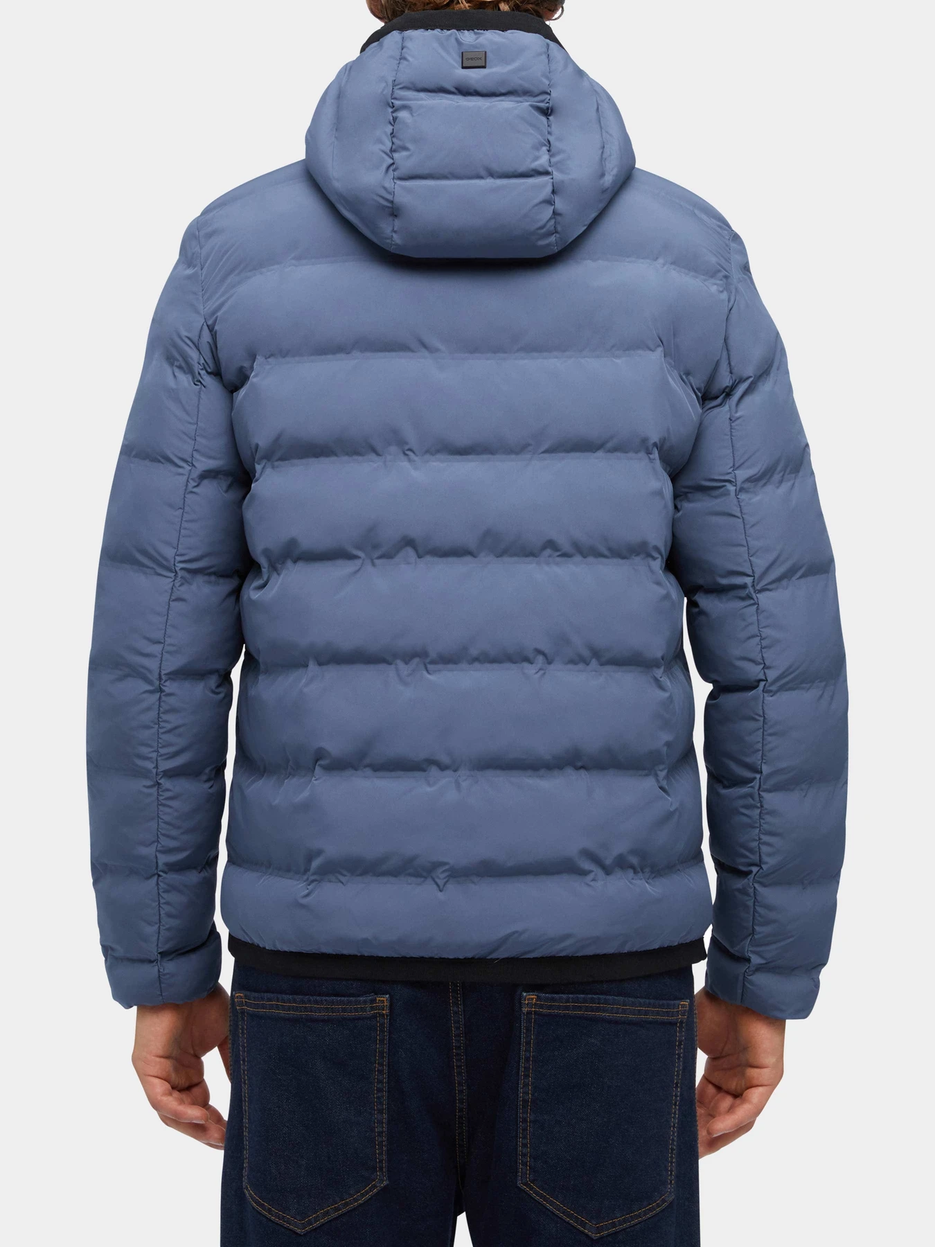 Куртки и дубленки Geox модель M3629C-T2961-F4393 Фото