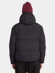 Куртки и дубленки Timberland модель TB0A6S41001 Фото