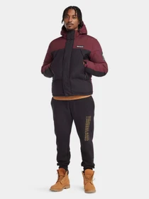 Куртки и дубленки Timberland модель TB0A6S41DX6 Фото