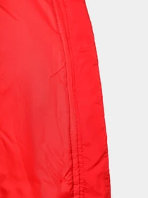 Куртки и дубленки NIKE модель FB7672-677 Фото
