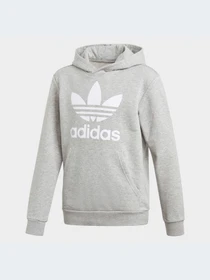 Худи и свитшоты Adidas Trefoil модель GE1979-KZ Фото