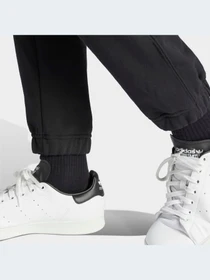 Брюки Adidas модель HZ0698-KZ Фото