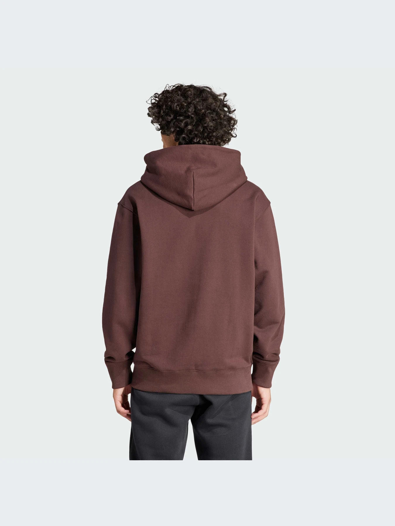Худи и свитшоты Adidas Adicolor модель IM4408-KZ Худи и свитшоты Adidas Adicolor модель IM4408-KZ Фото