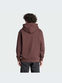 Худи и свитшоты Adidas Adicolor модель IM4408-KZ Фото
