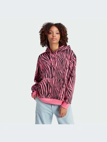 Худи и свитшоты Adidas Graphics модель IJ7775-KZ Фото