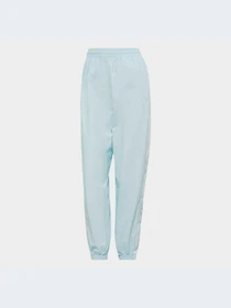 Брюки Adidas Adicolor модель HN5901-KZ Фото