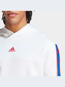 Худи и свитшоты Adidas модель IC6789-KZ Фото
