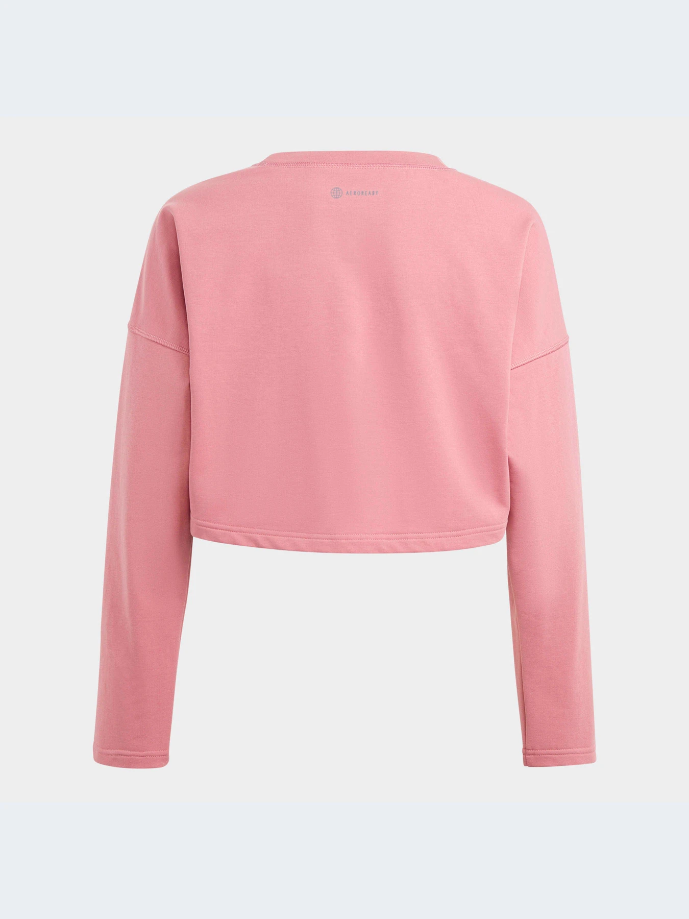 Худи и свитшоты Adidas модель IC0331-KZ Худи и свитшоты Adidas модель IC0331-KZ Фото