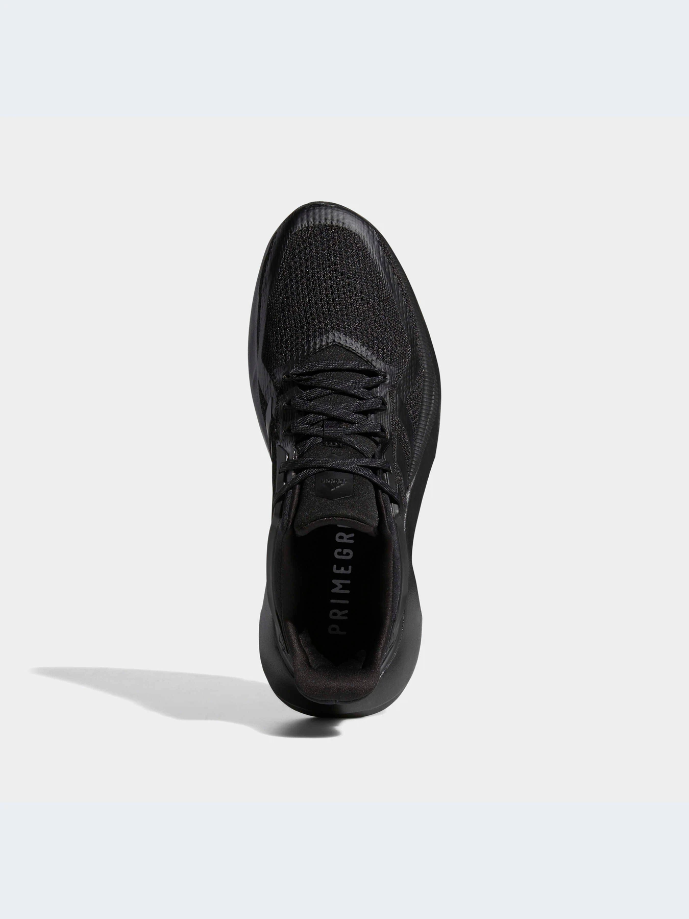 Кроссовки Adidas Alphatorsion модель GZ8744-KZ Кроссовки Adidas Alphatorsion модель GZ8744-KZ Фото